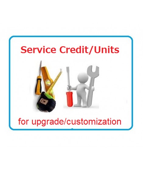 Unit for customization/consulting service