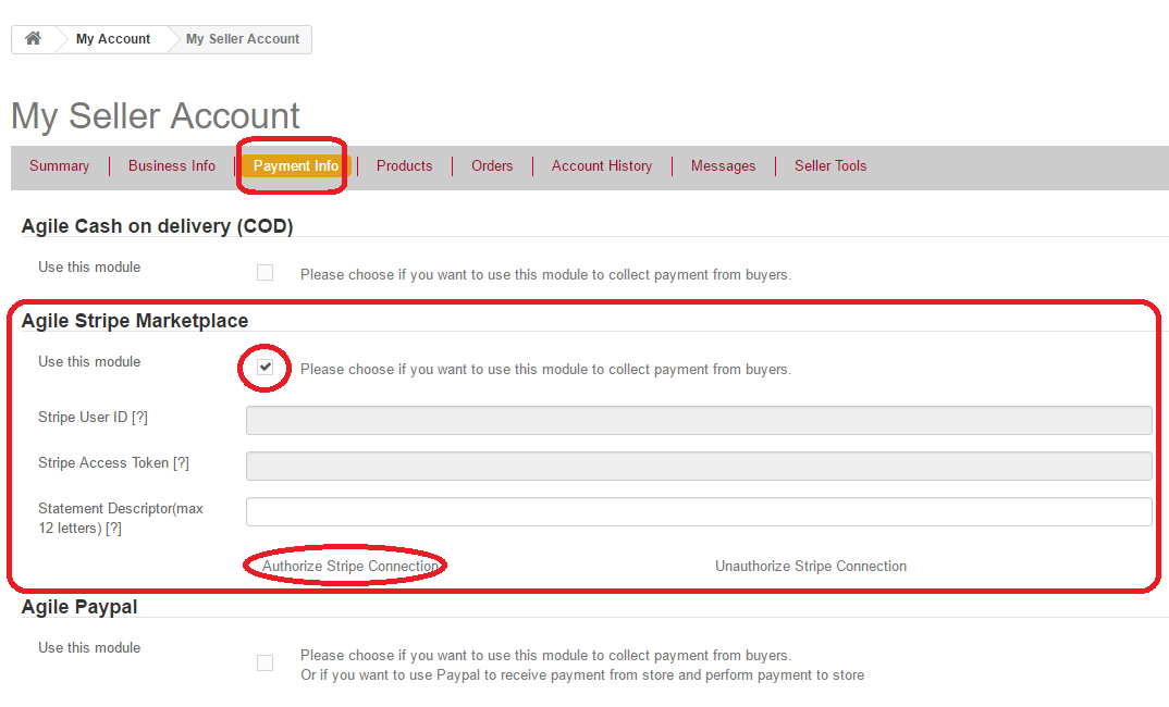 agile-stripe-marketplace-account-setting-seller-authorization-step1.png
