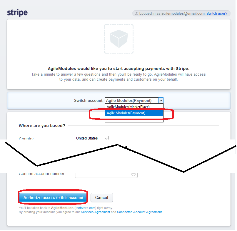 agile-stripe-marketplace-configuration